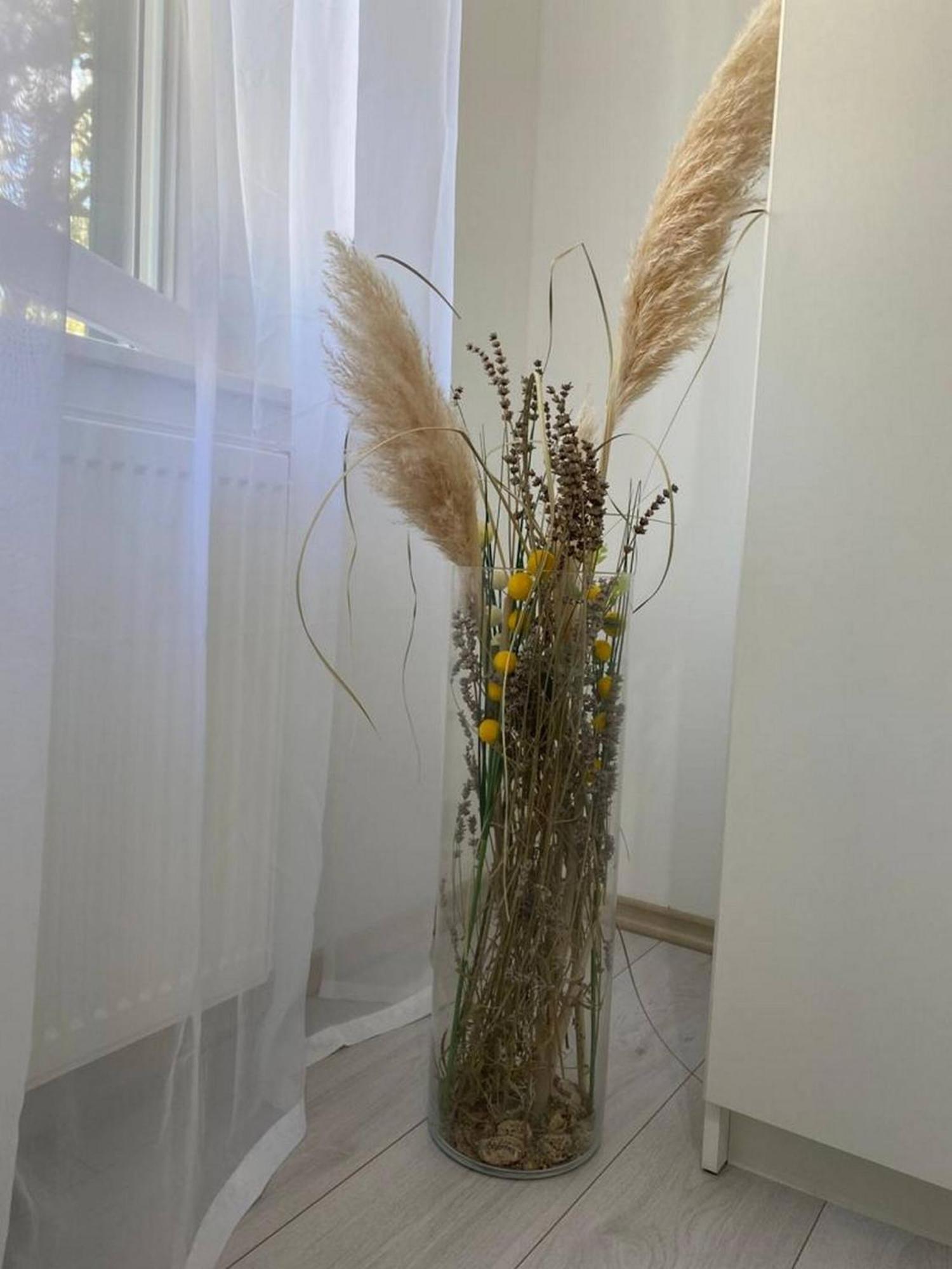 Rural Apartment Ante Drniš Εξωτερικό φωτογραφία