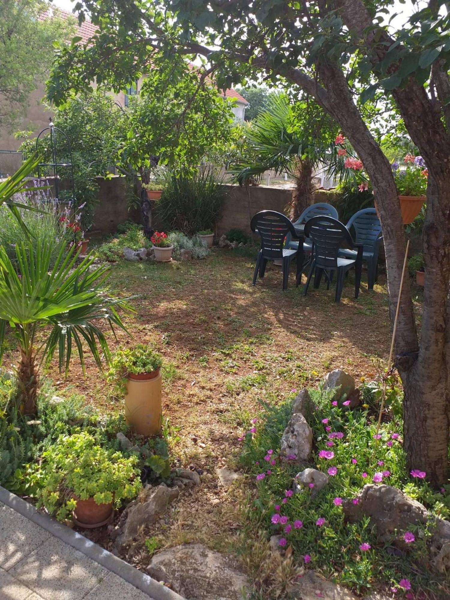 Rural Apartment Ante Drniš Εξωτερικό φωτογραφία