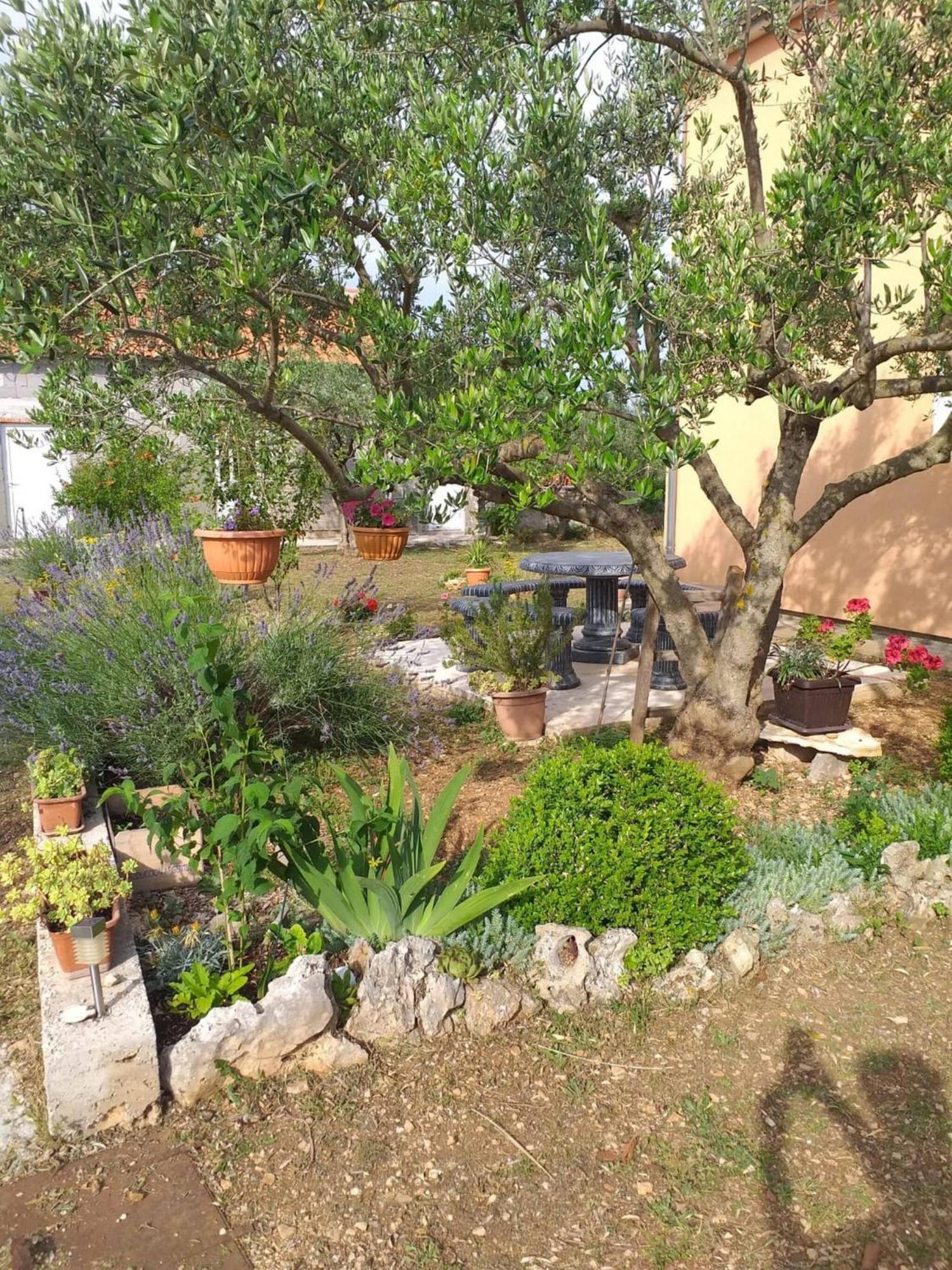 Rural Apartment Ante Drniš Εξωτερικό φωτογραφία