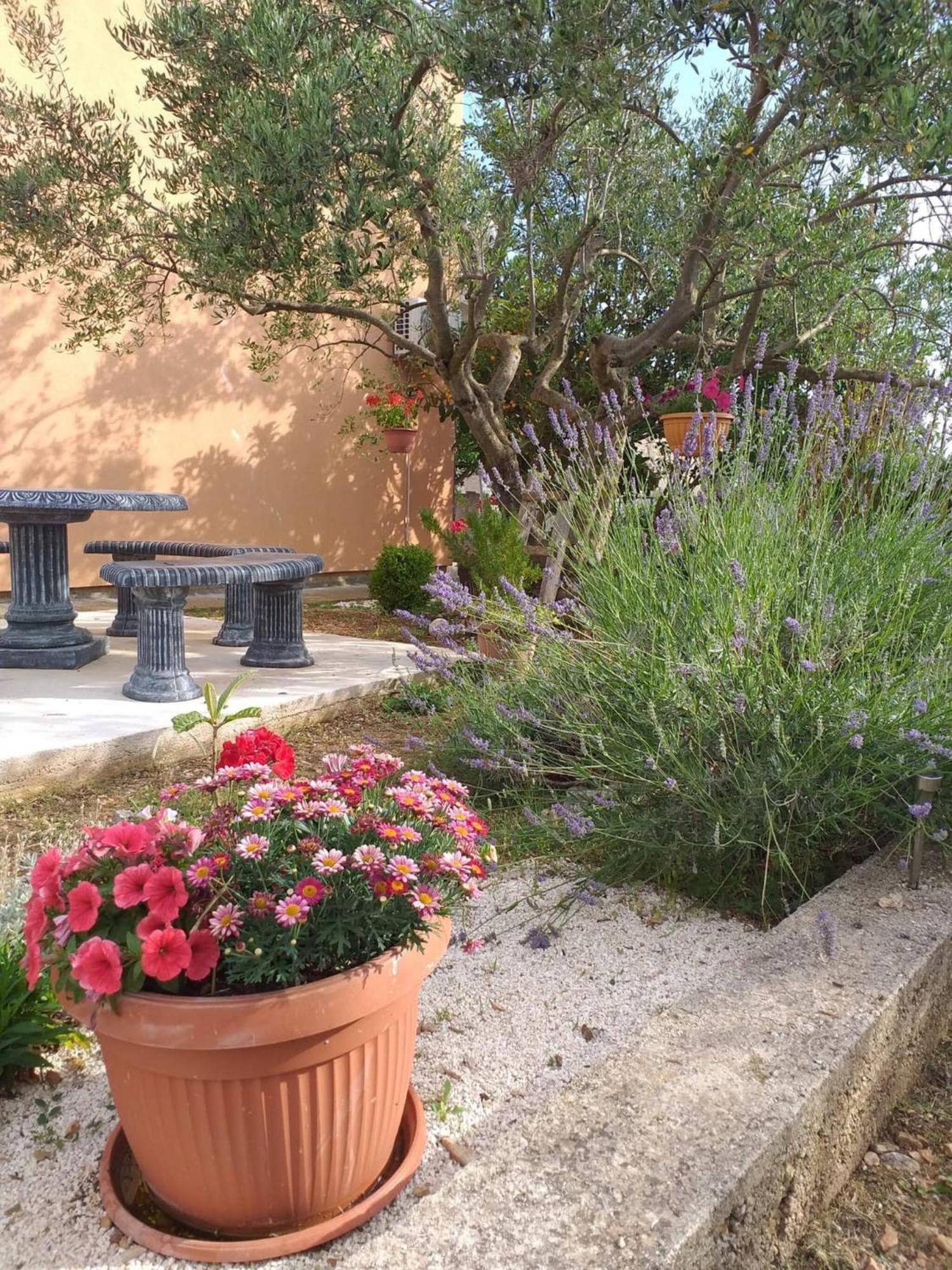Rural Apartment Ante Drniš Εξωτερικό φωτογραφία